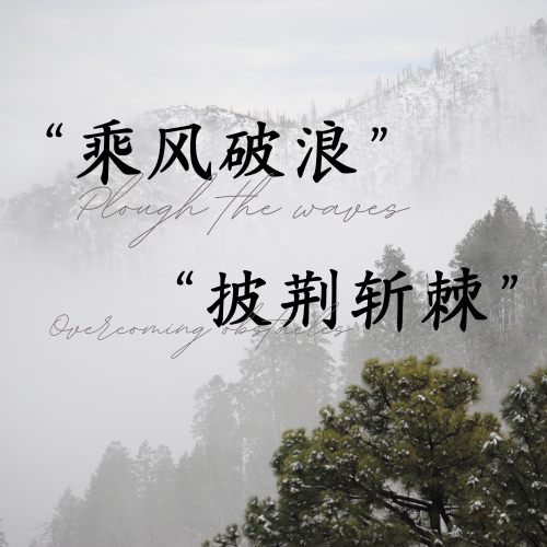 乘风破浪 披荆斩棘 | 祝贺董斌先生入职谷道5周年快乐